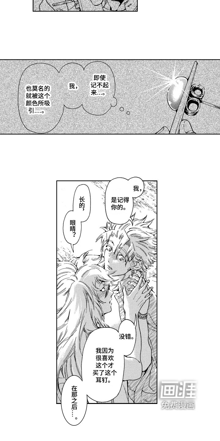 第18章：耳钉