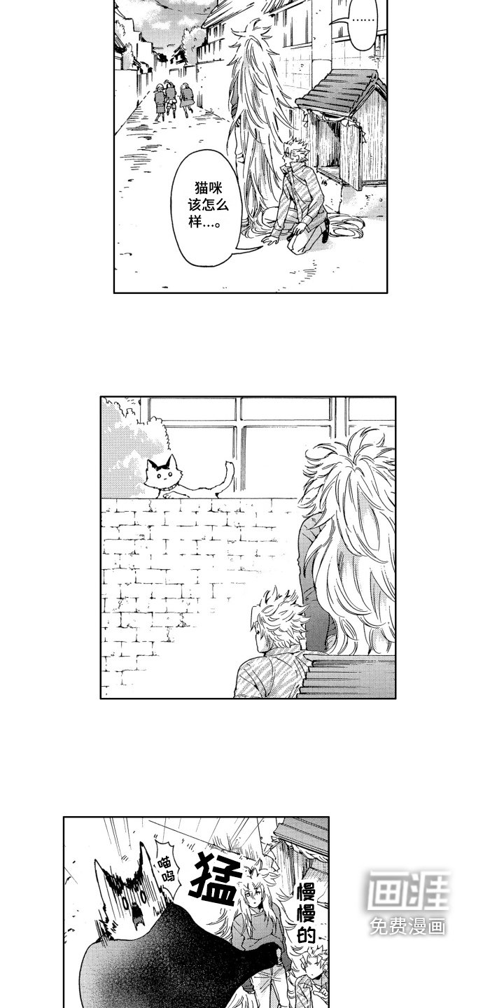 第19章：方法