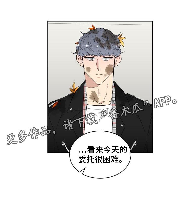 第14章：试试