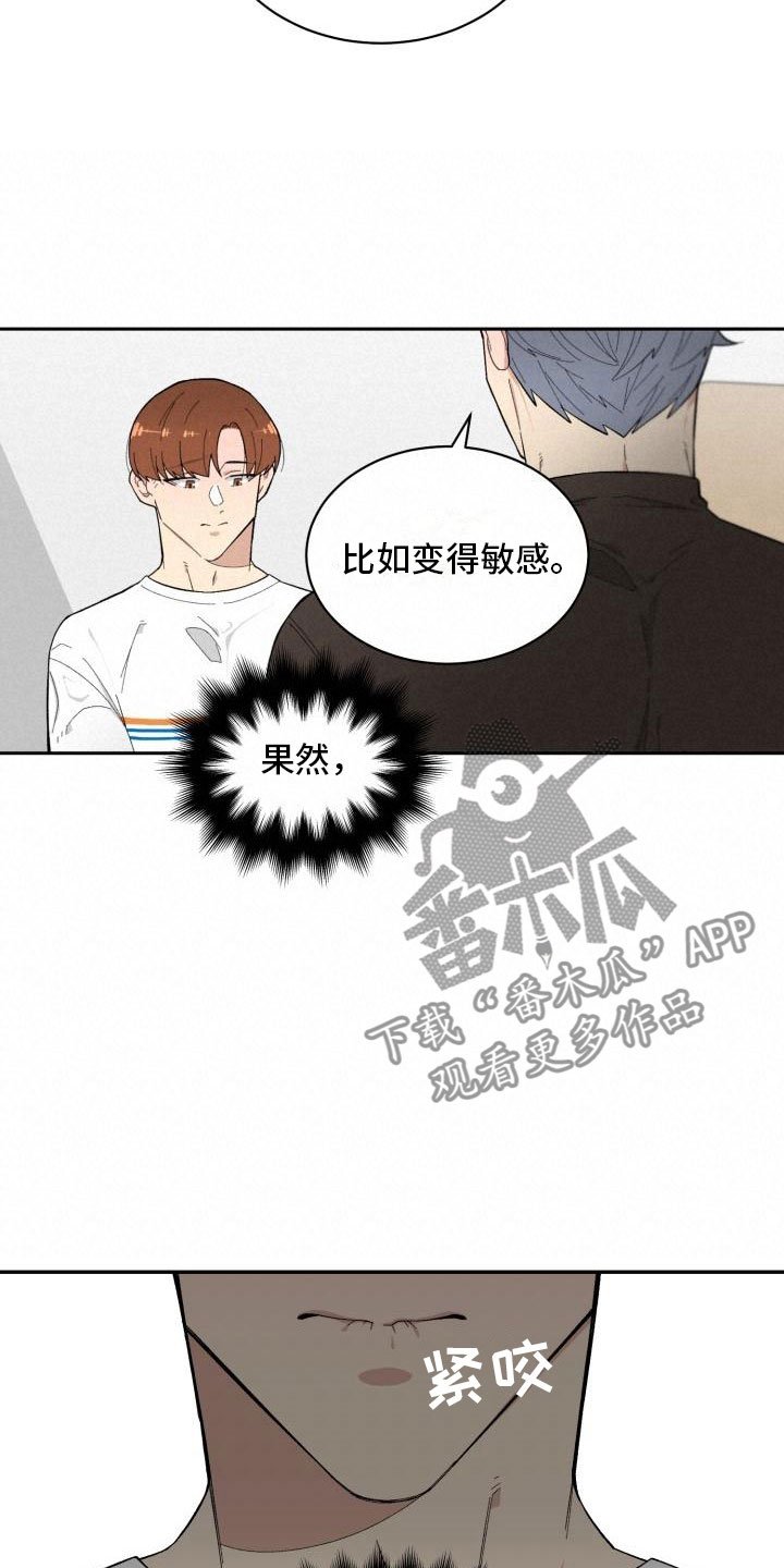 第17章：决定