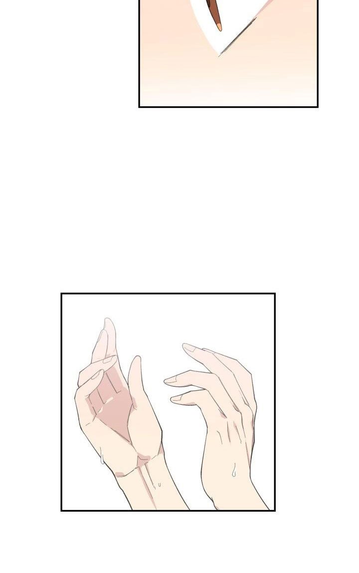 第27章：清除