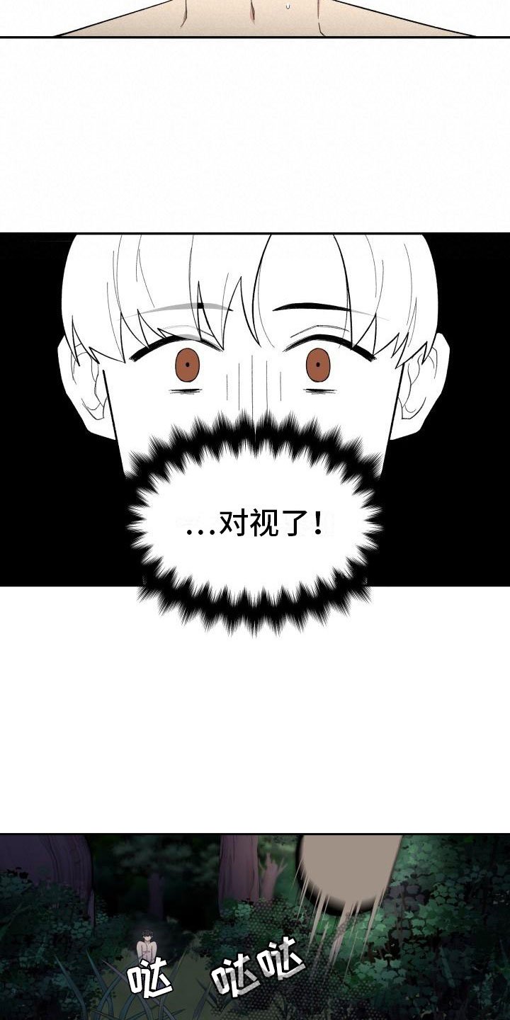 第32章：野营