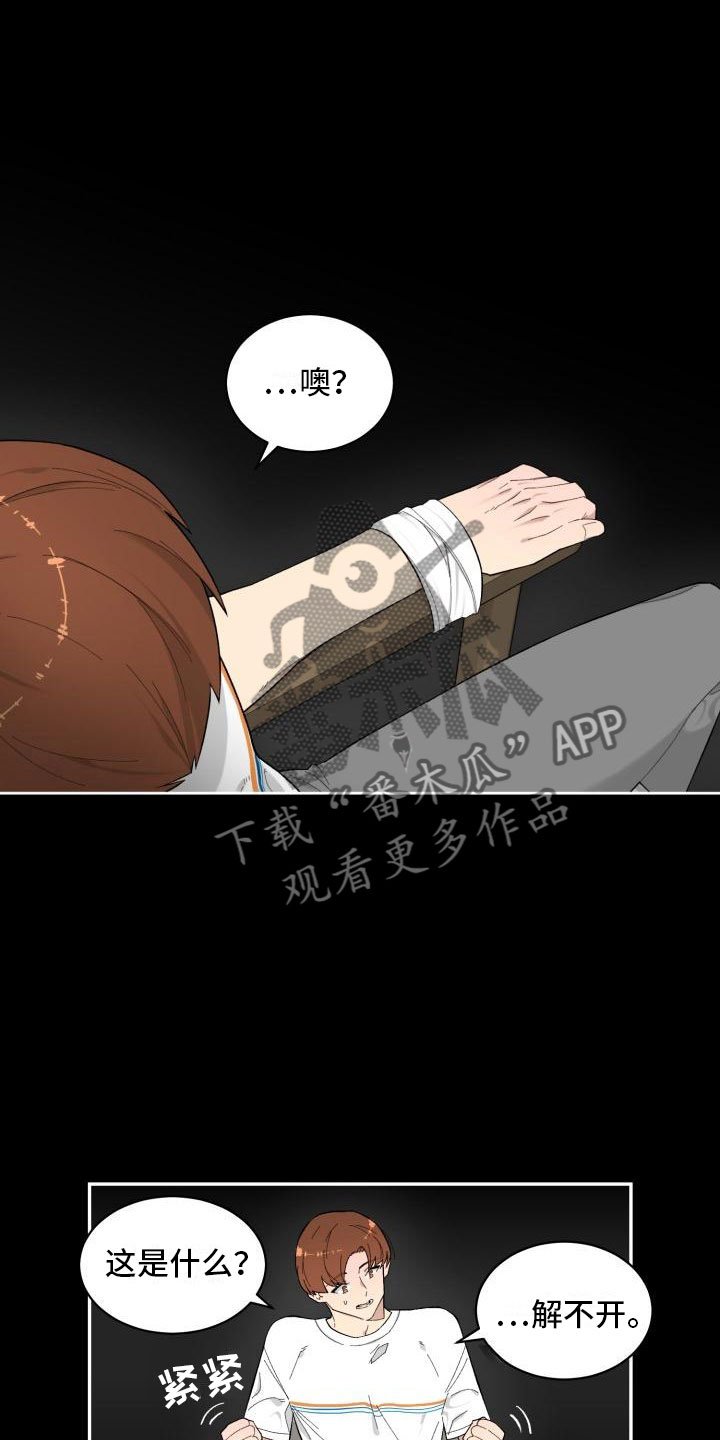 第9章：提议