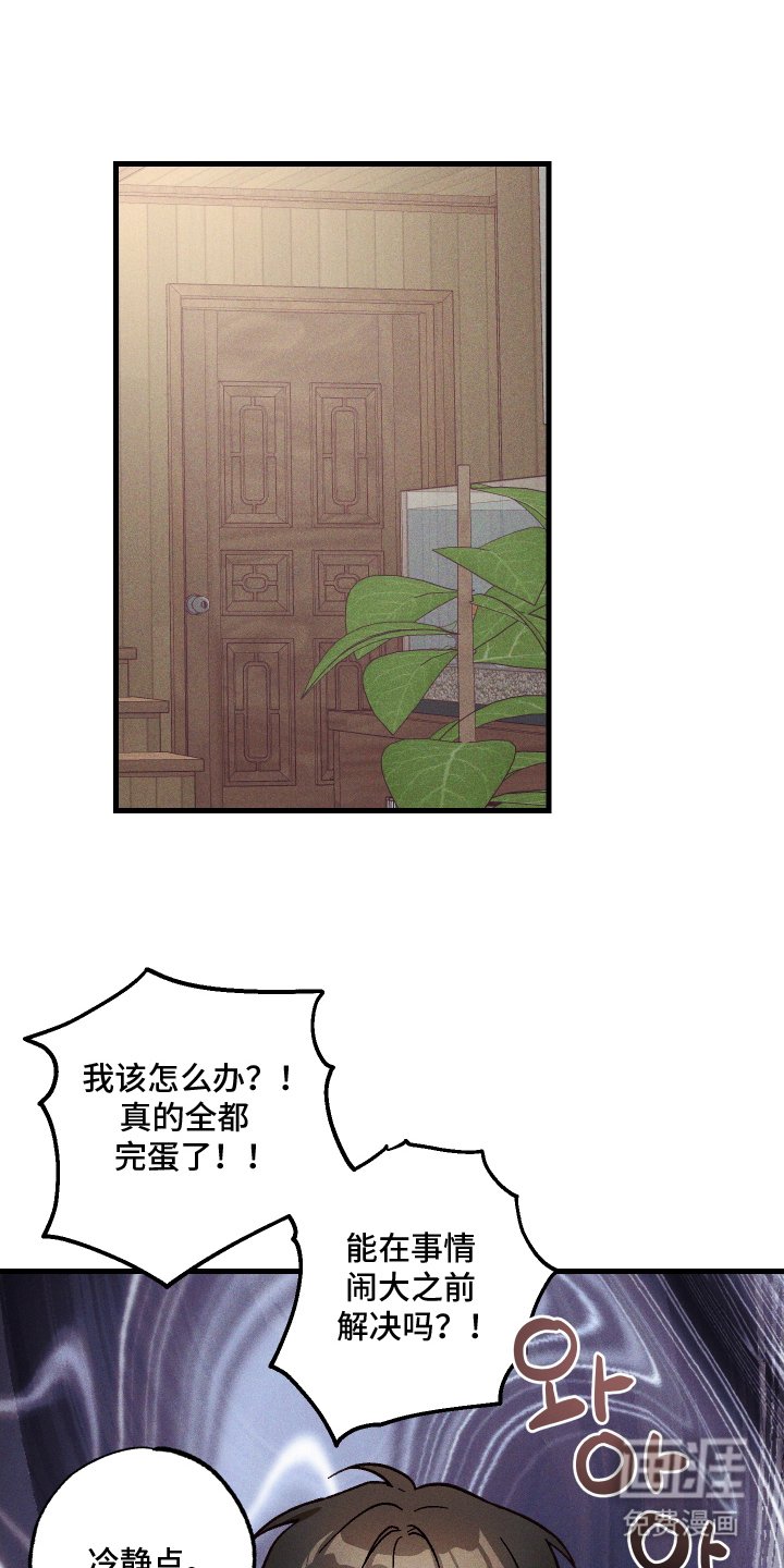 第11章：欺骗