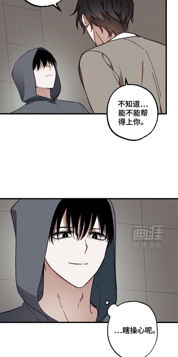 第17章：你有朋友吗？