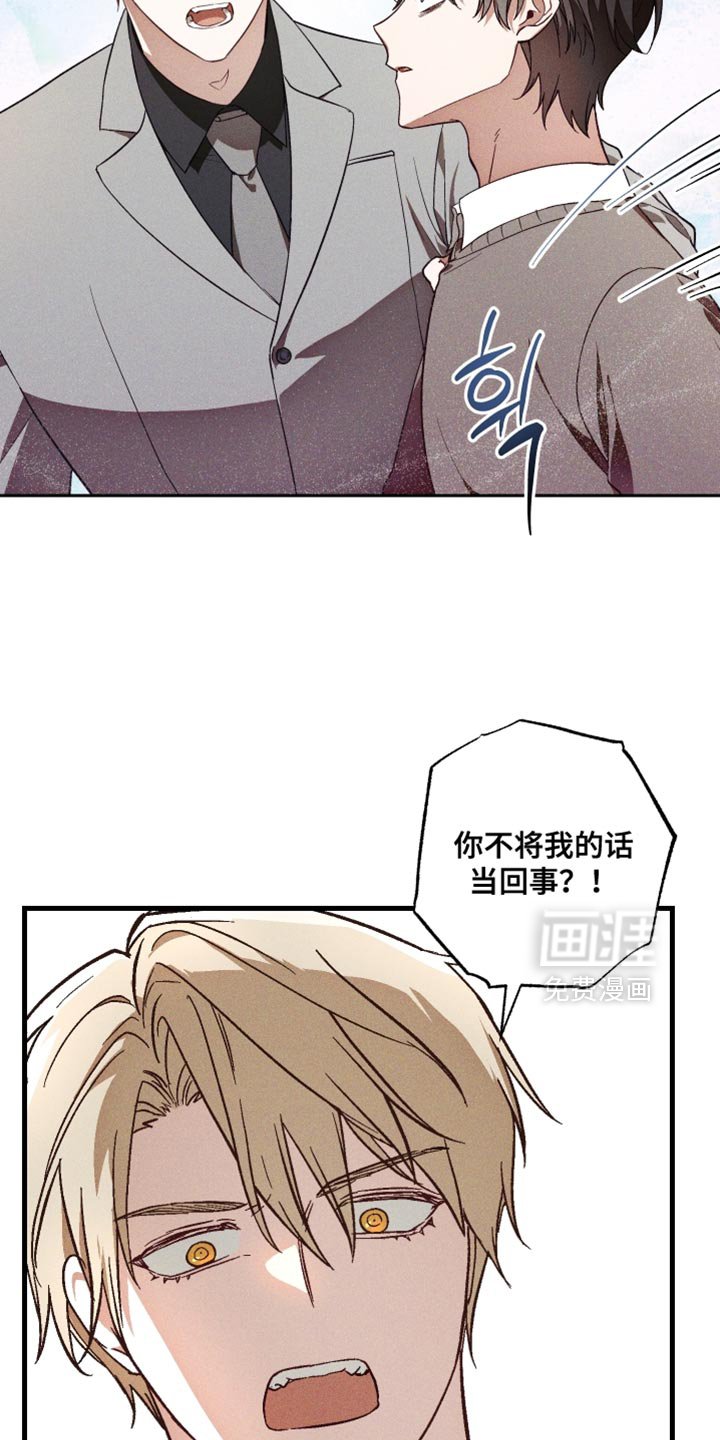 第17章：你有朋友吗？