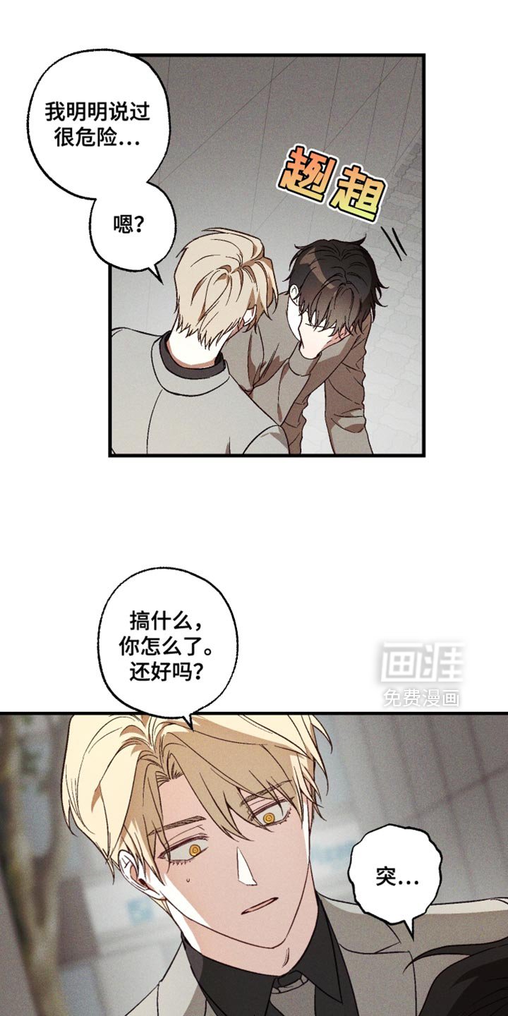 第17章：你有朋友吗？