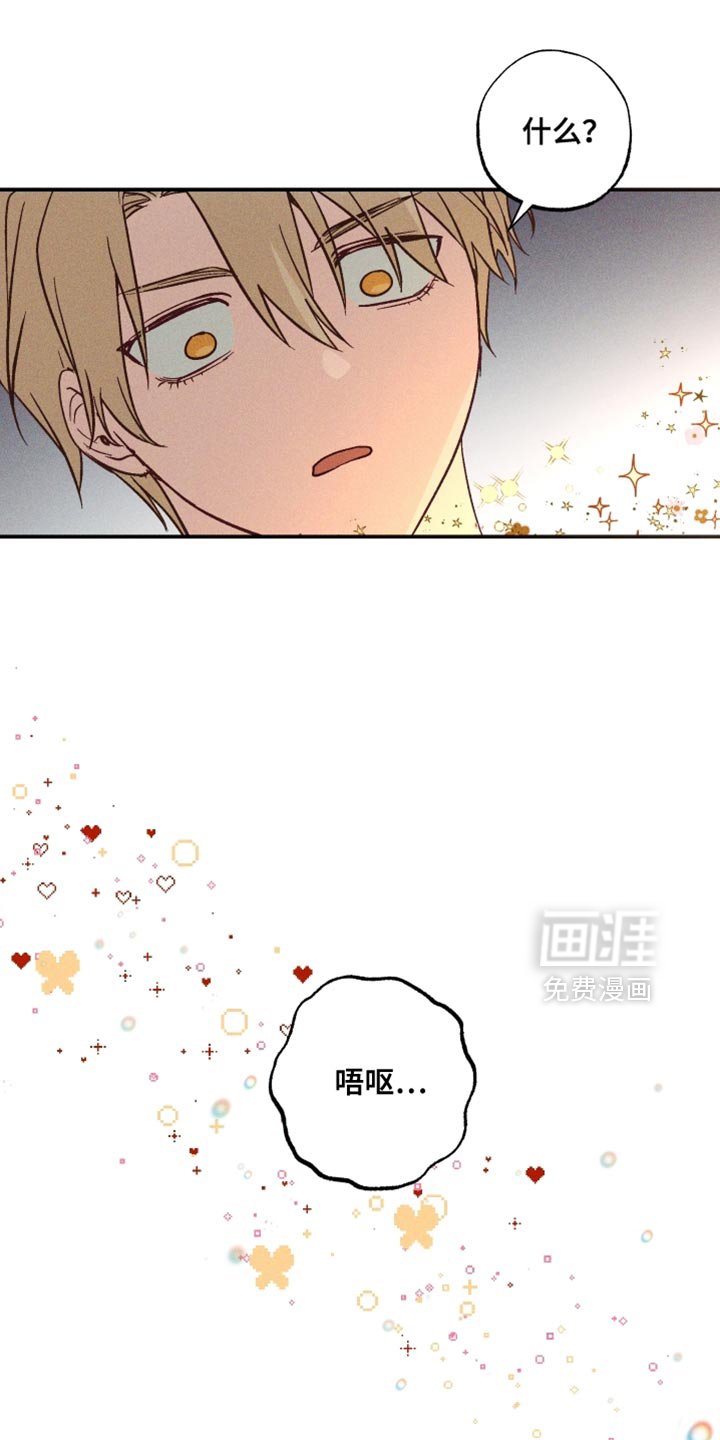 第17章：你有朋友吗？