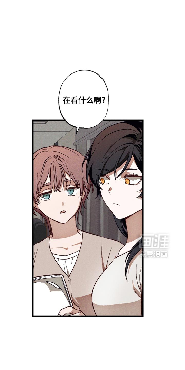 第17章：你有朋友吗？