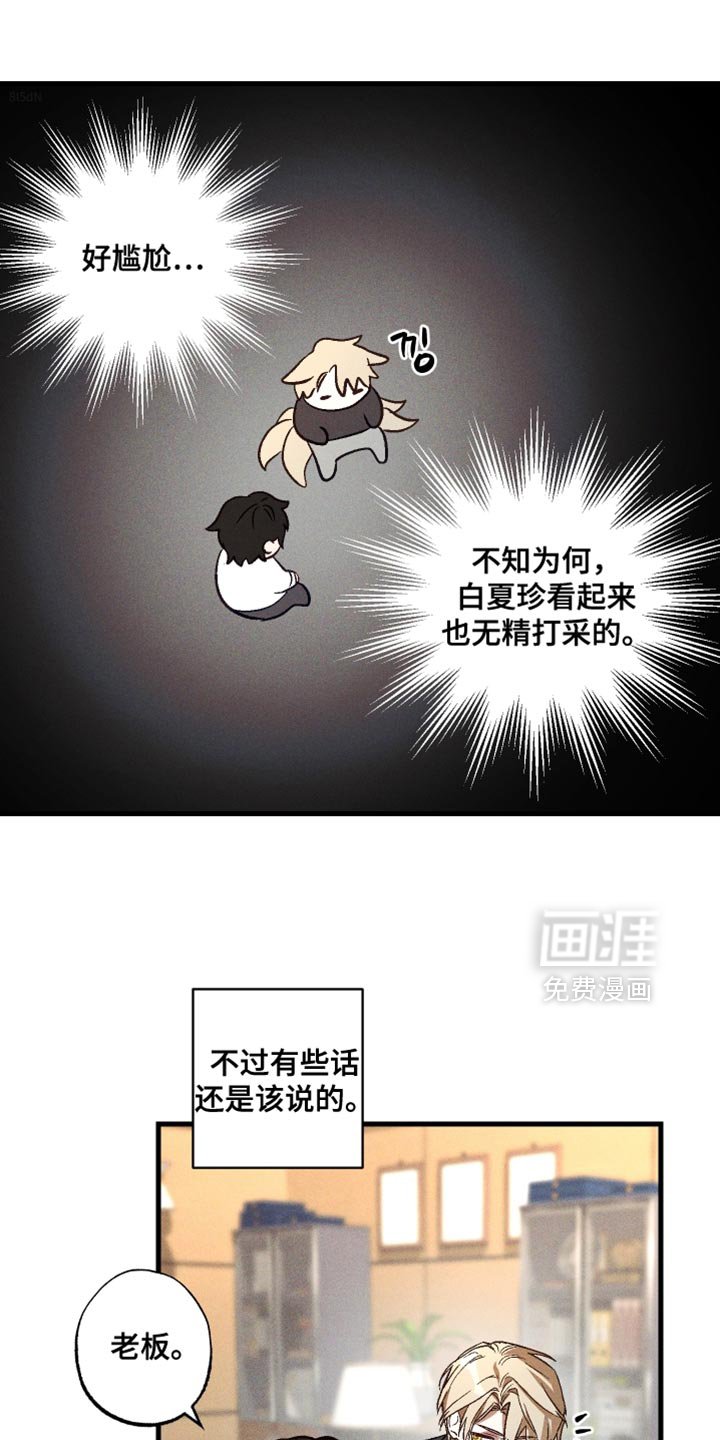 第17章：你有朋友吗？