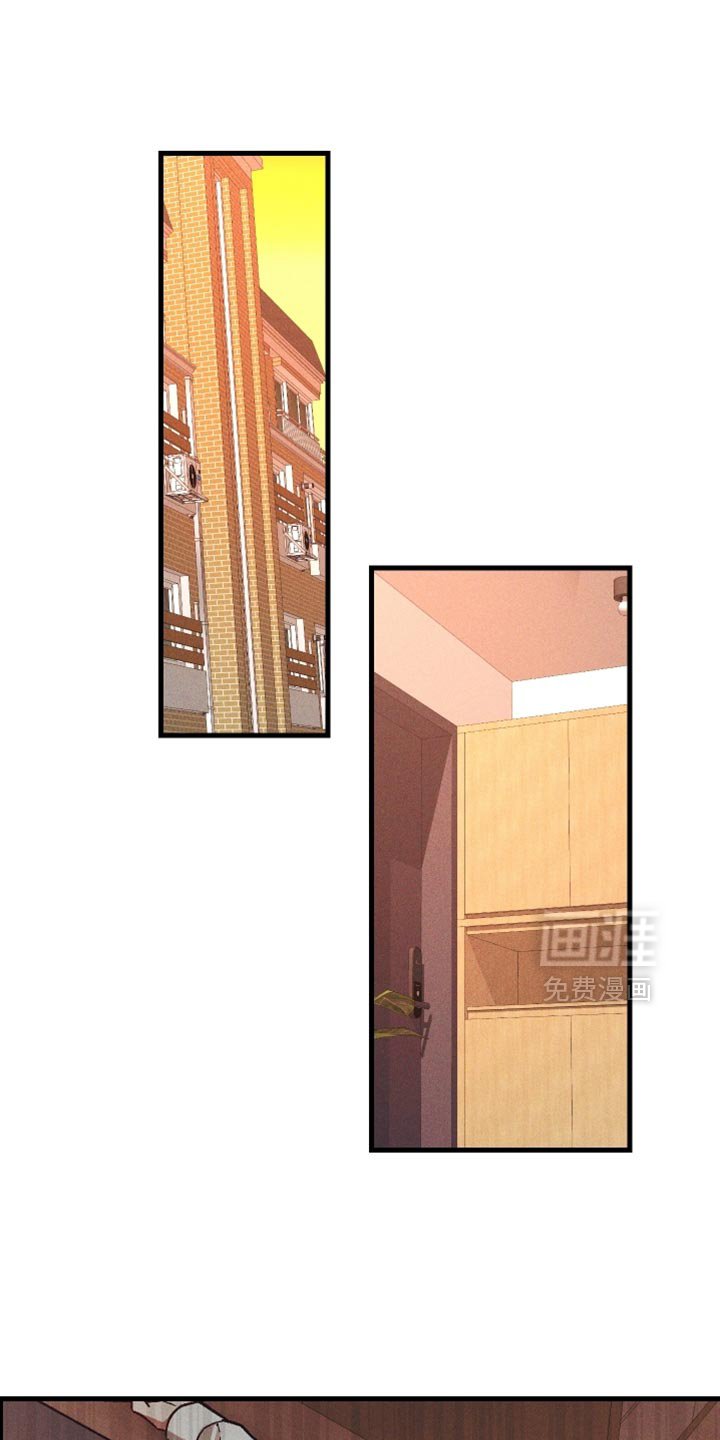 第19章：真奇怪