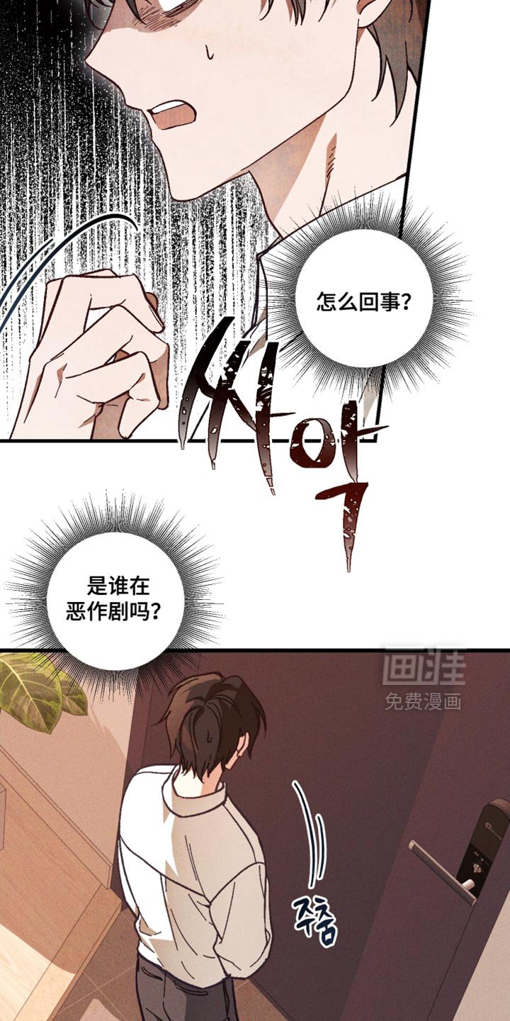 第19章：真奇怪