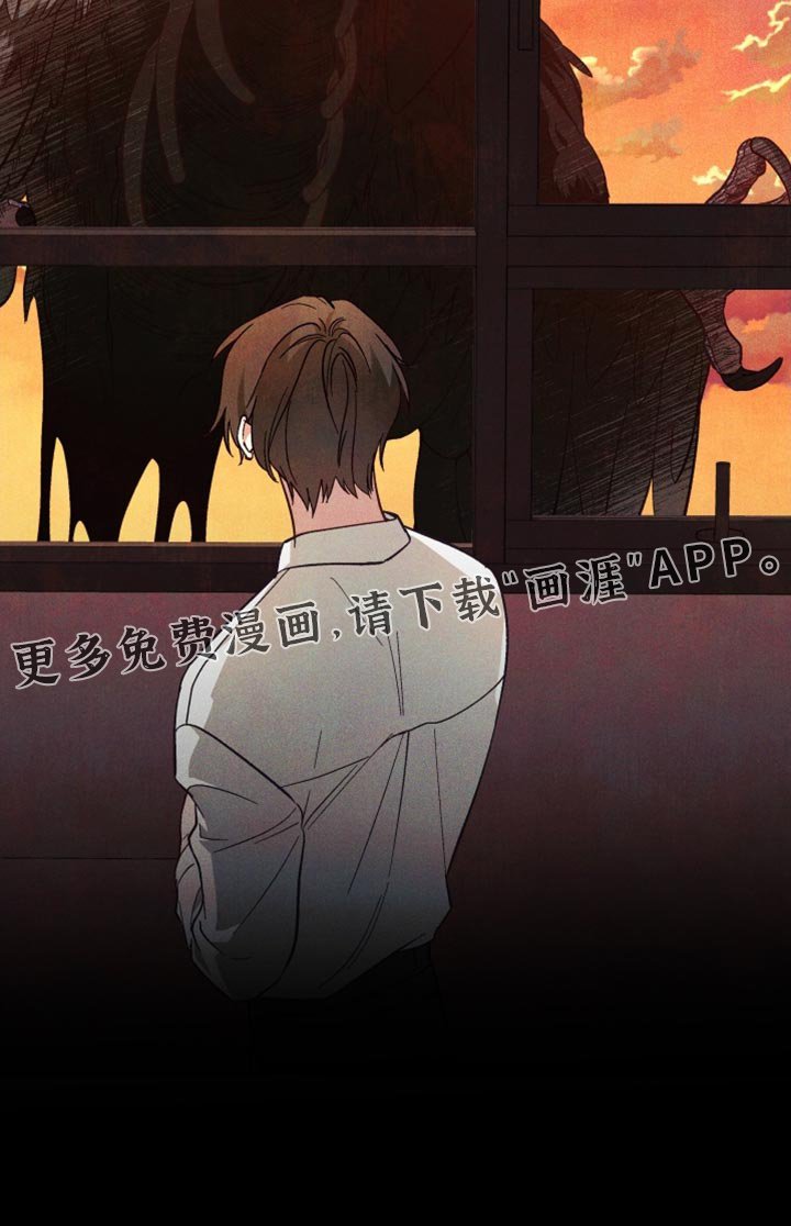 第19章：真奇怪