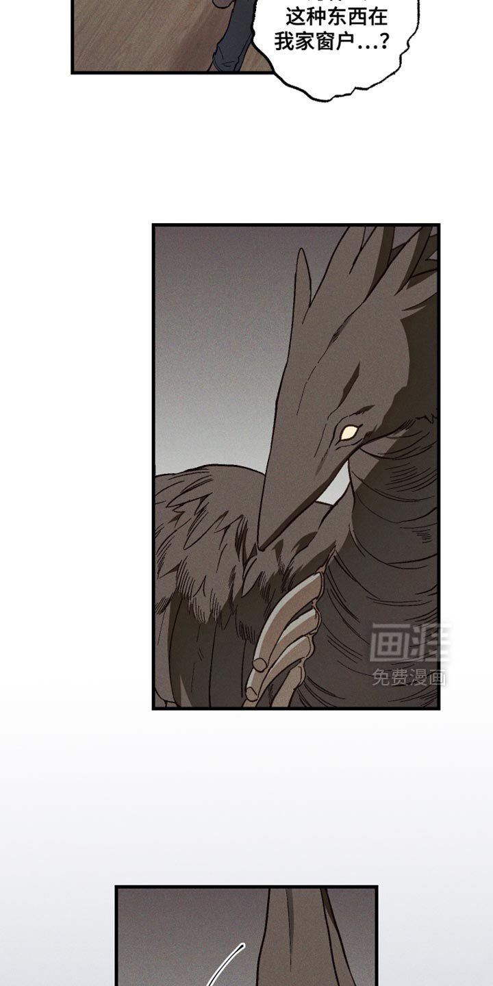 第20章：我做了什么