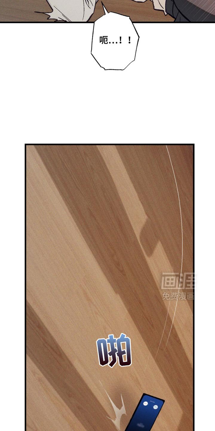 第20章：我做了什么
