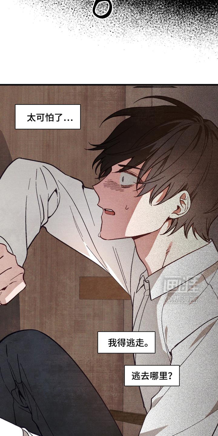 第20章：我做了什么