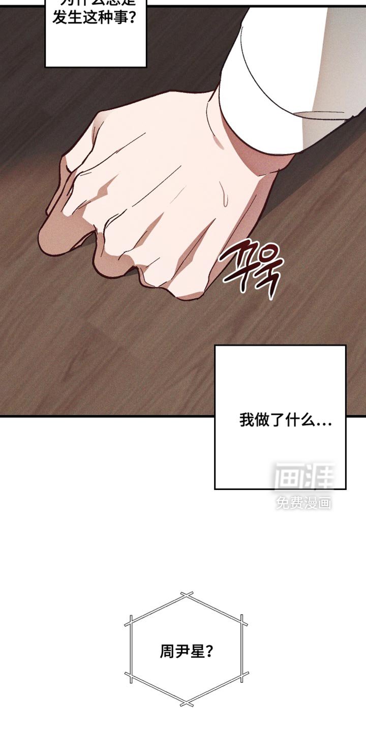 第20章：我做了什么