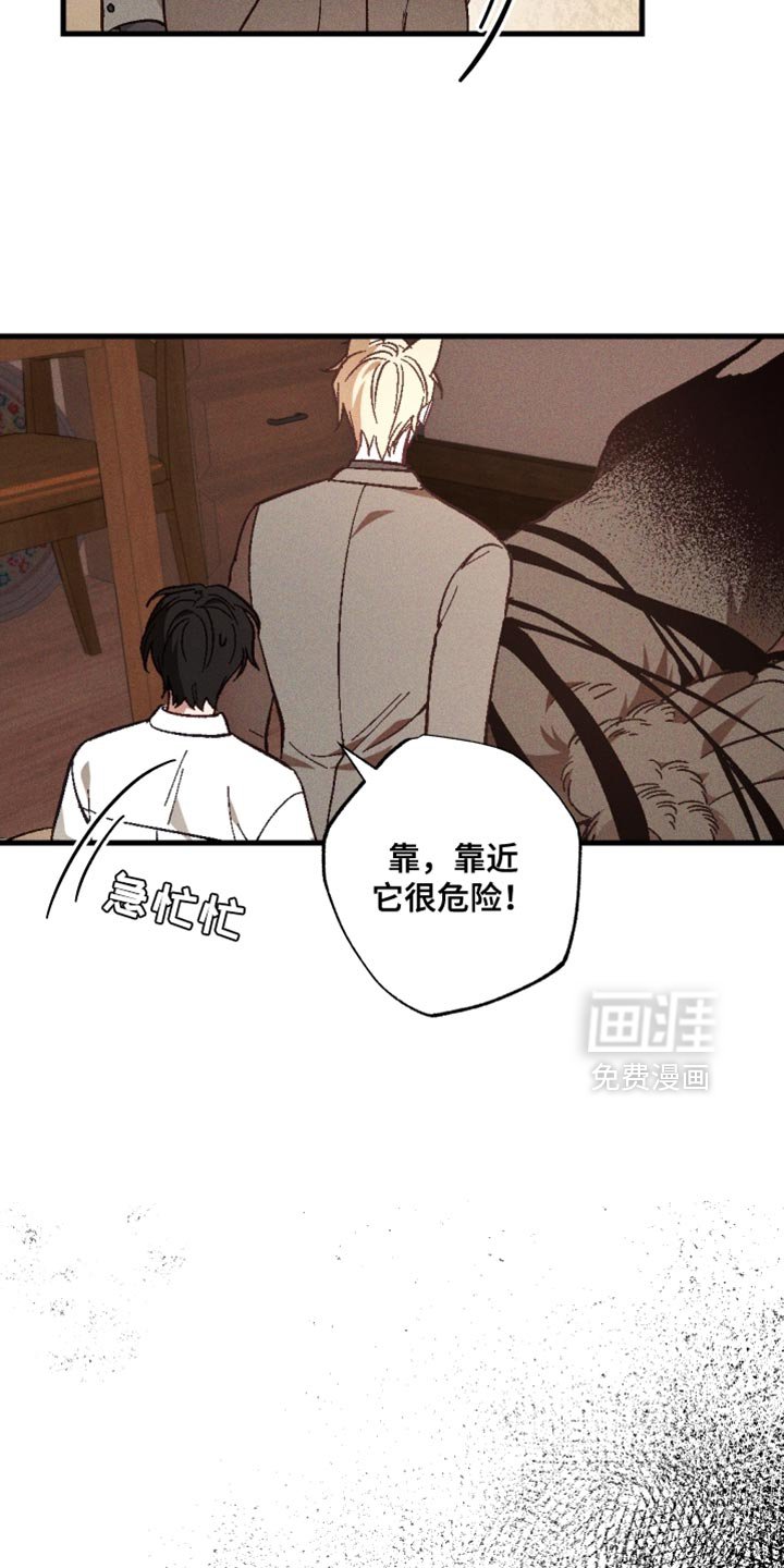 第21章：非常好的事情