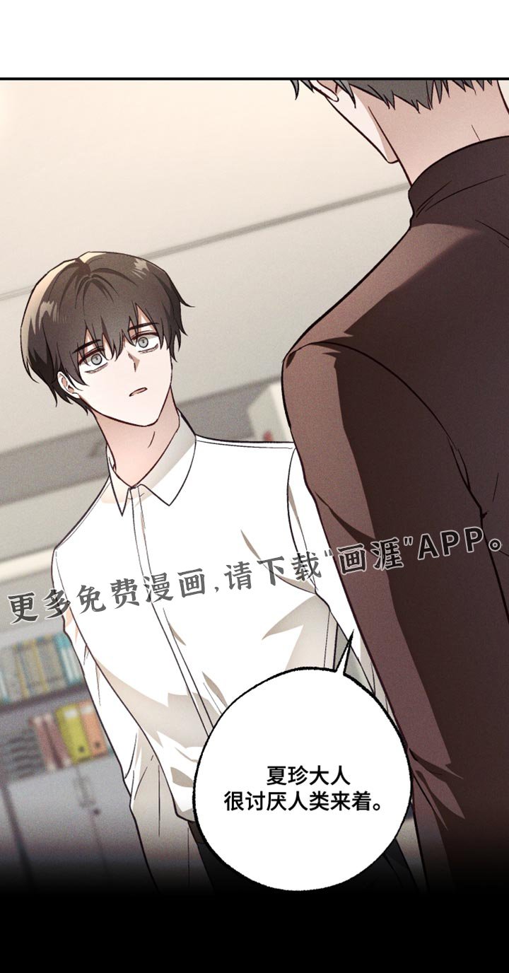 第25章：温柔