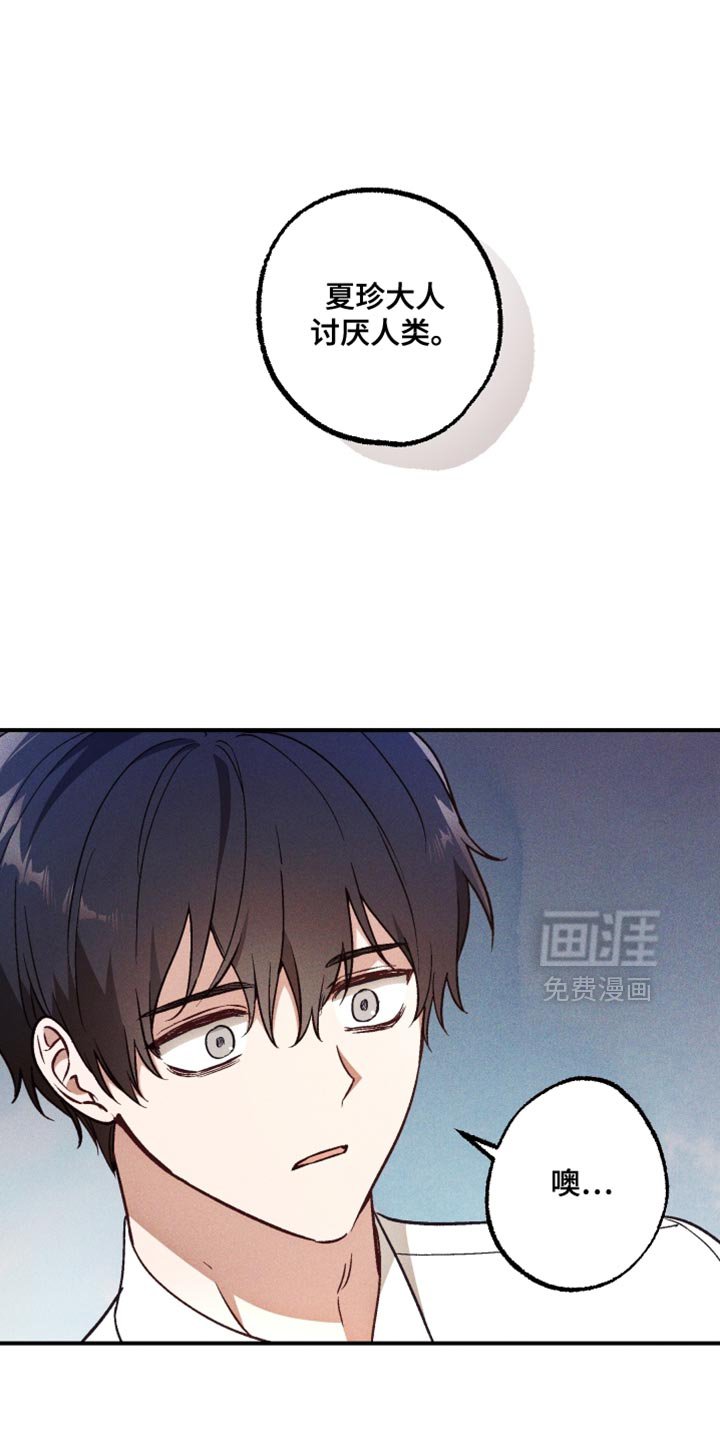 第26章：氛围很古怪