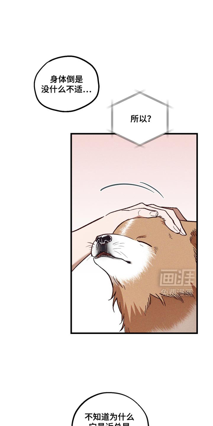 第32章：太忙了