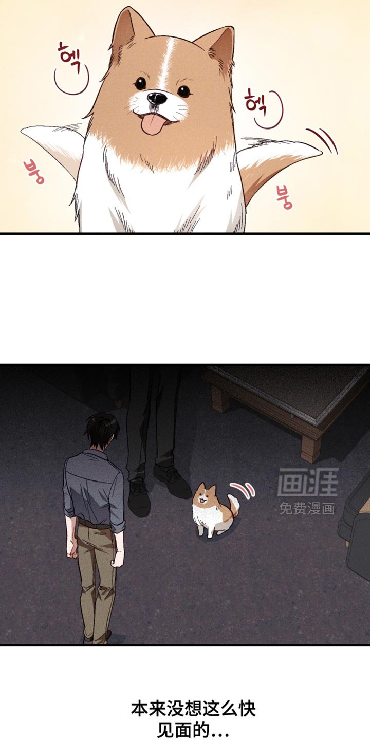 第33章：解释