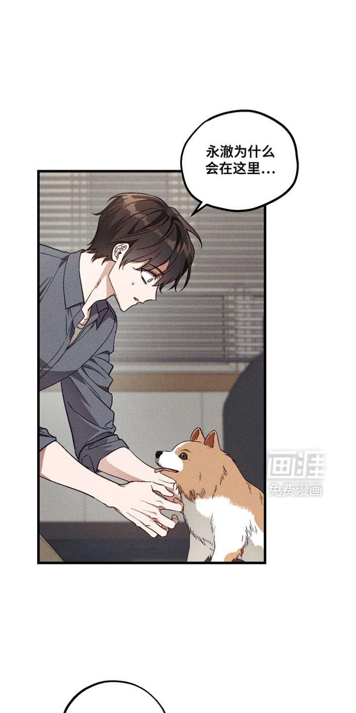 第33章：解释