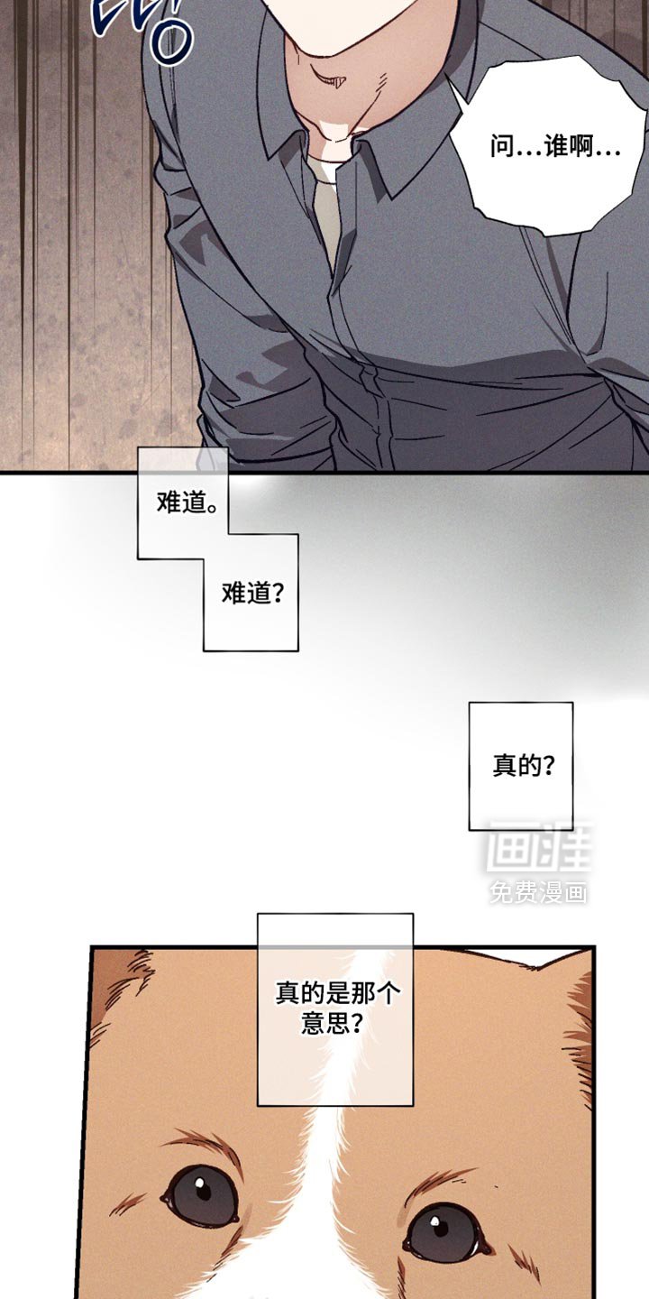 第33章：解释