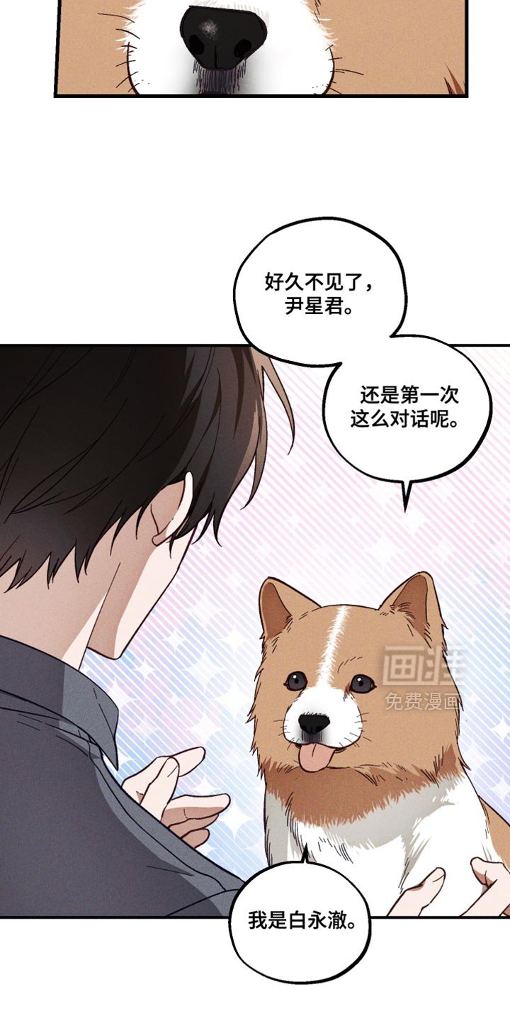 第33章：解释