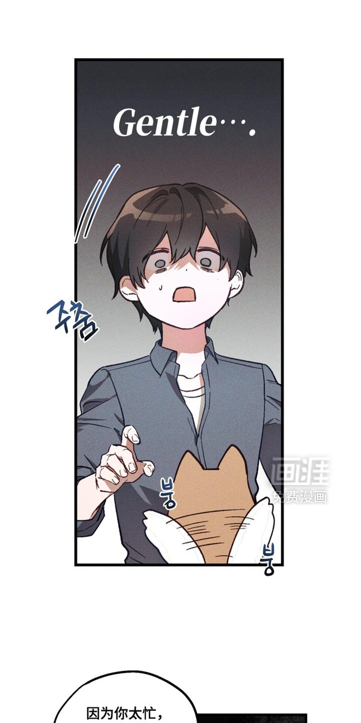 第33章：解释