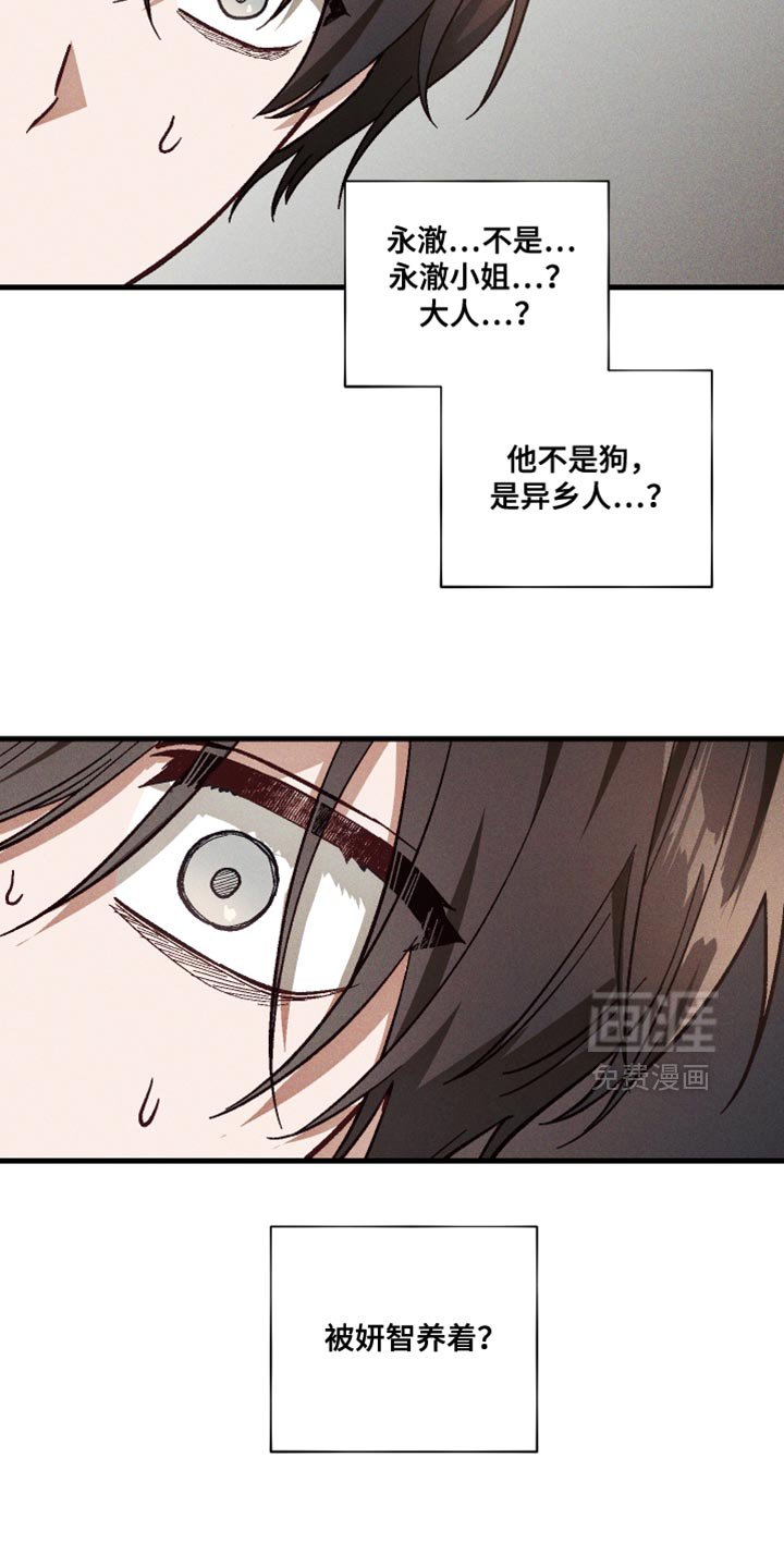第33章：解释