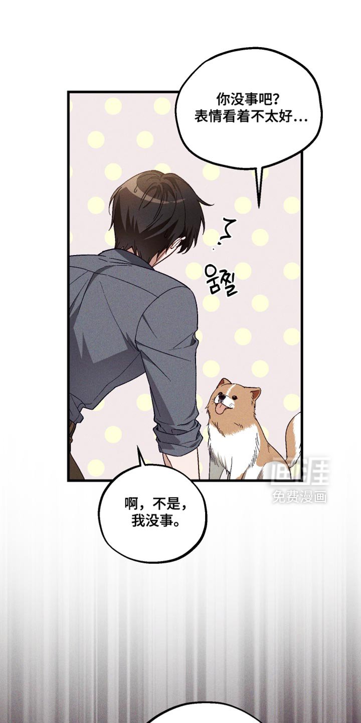 第33章：解释