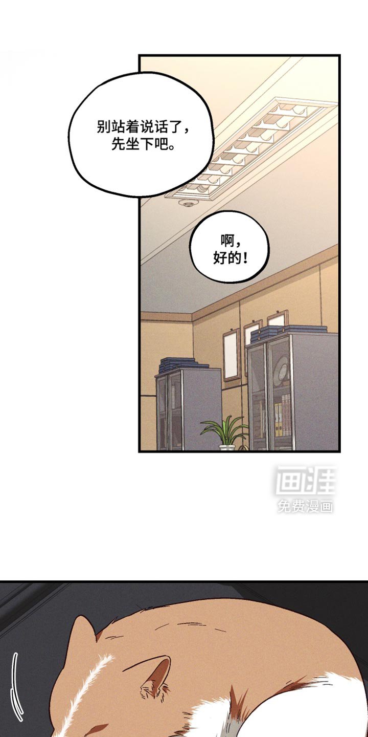 第33章：解释