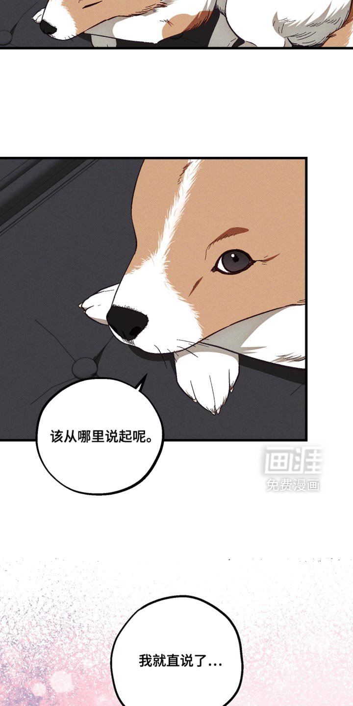 第33章：解释
