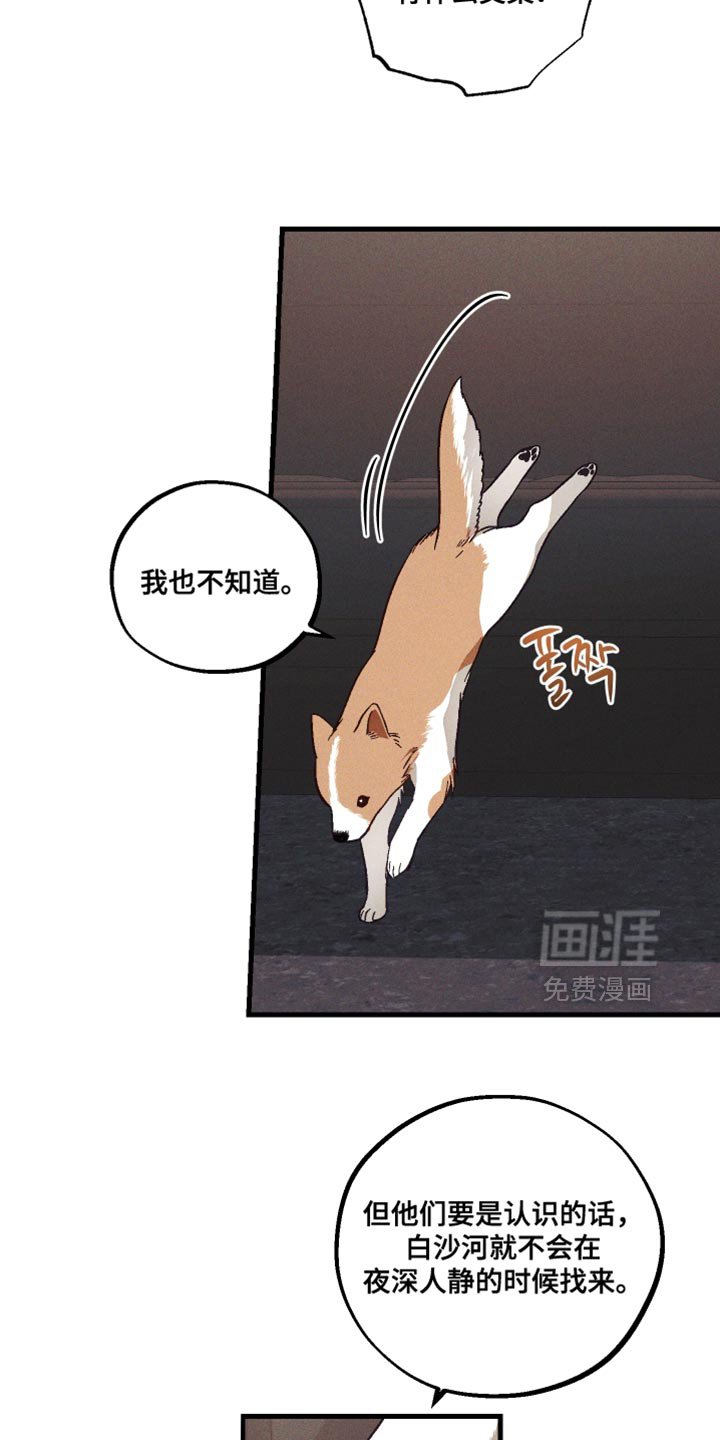 第33章：解释