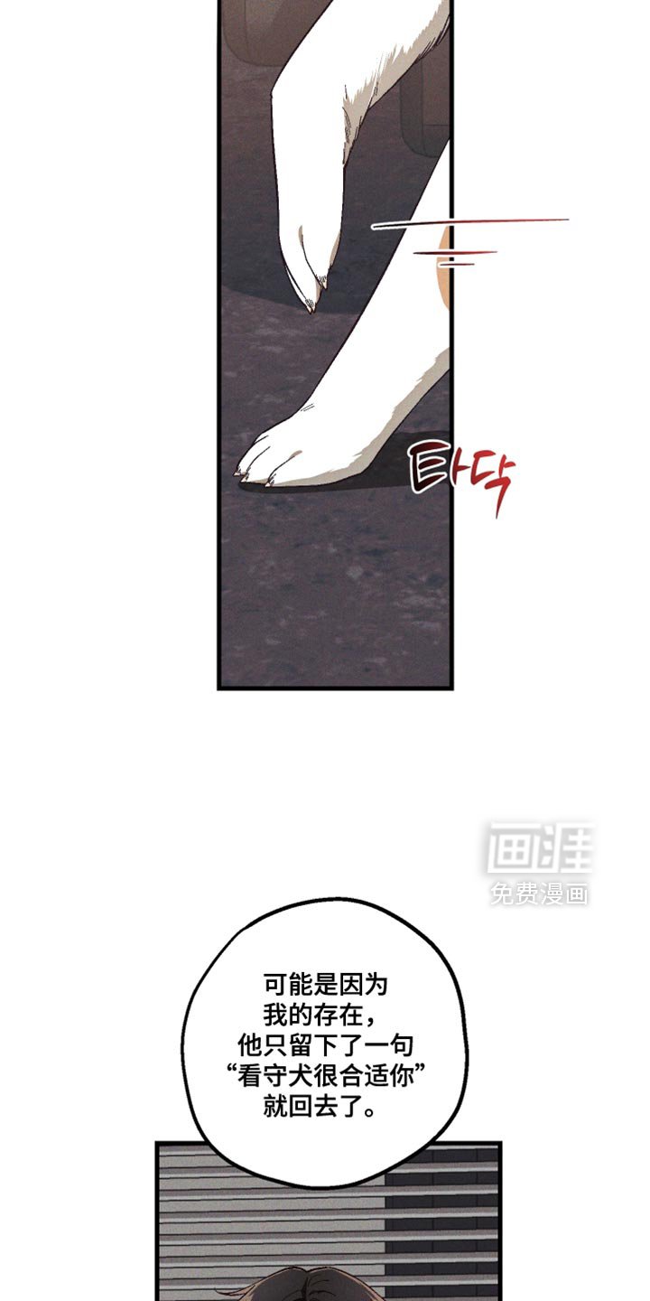 第33章：解释