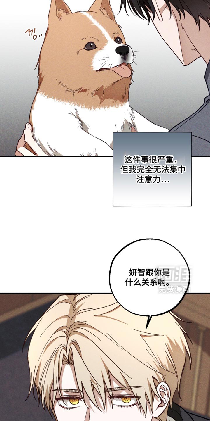 第33章：解释
