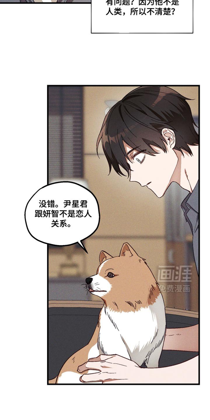 第33章：解释