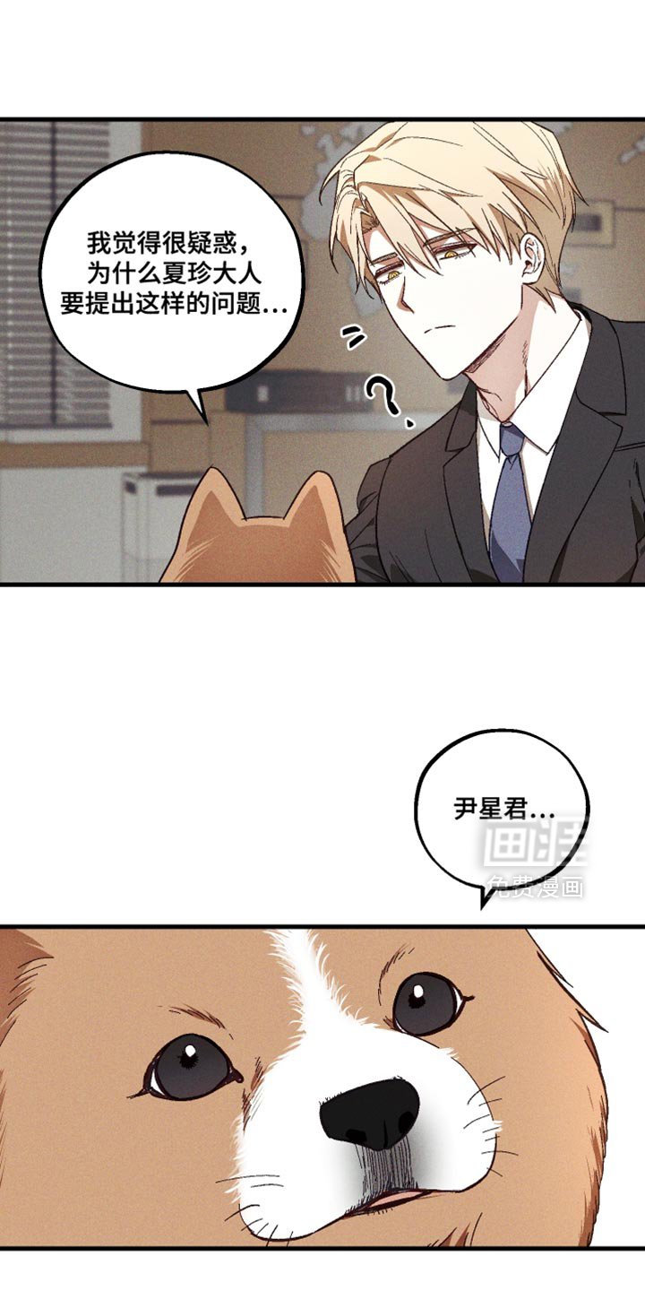 第33章：解释