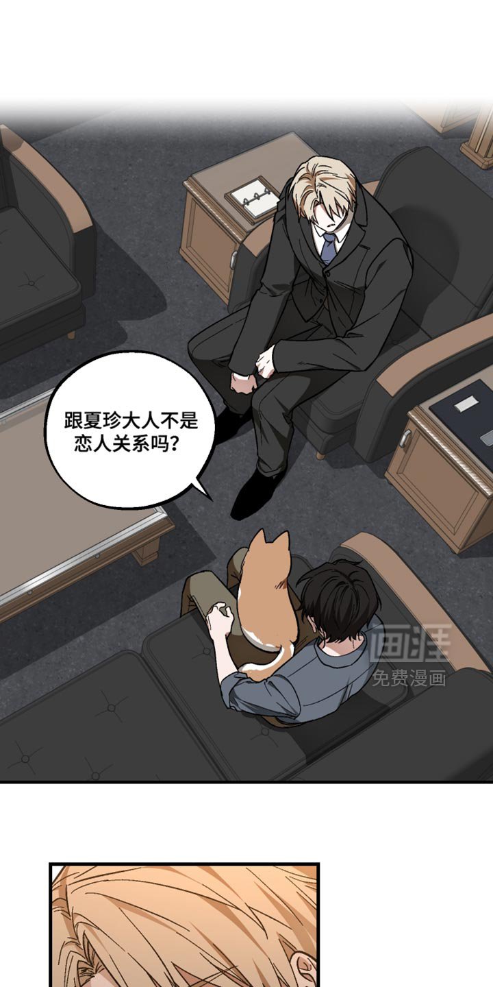 第33章：解释