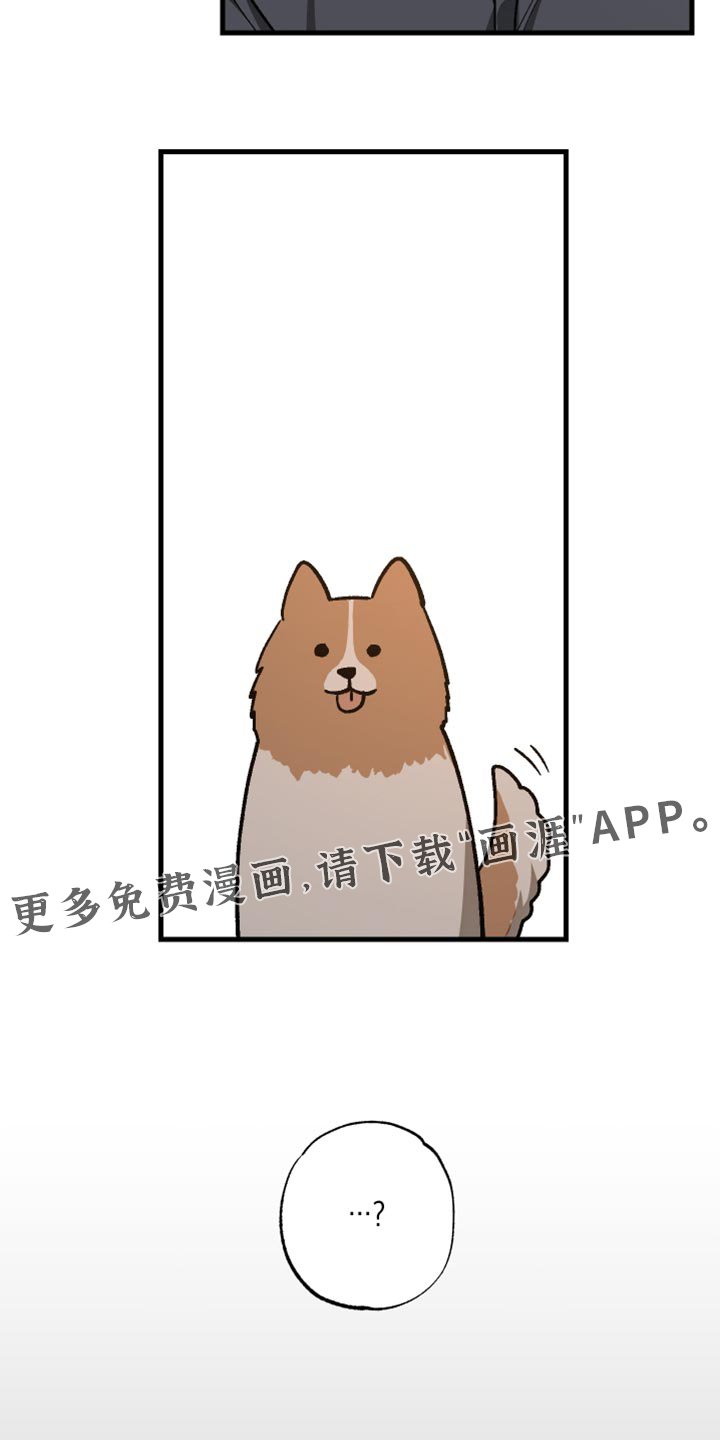 第33章：解释