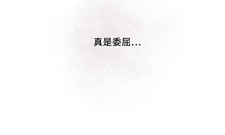 第35章：真是委屈