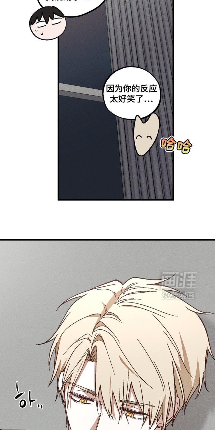 第37章：必要的