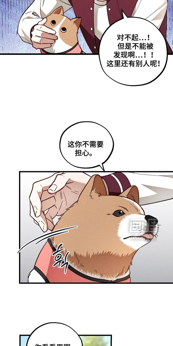 第39章：虚弱