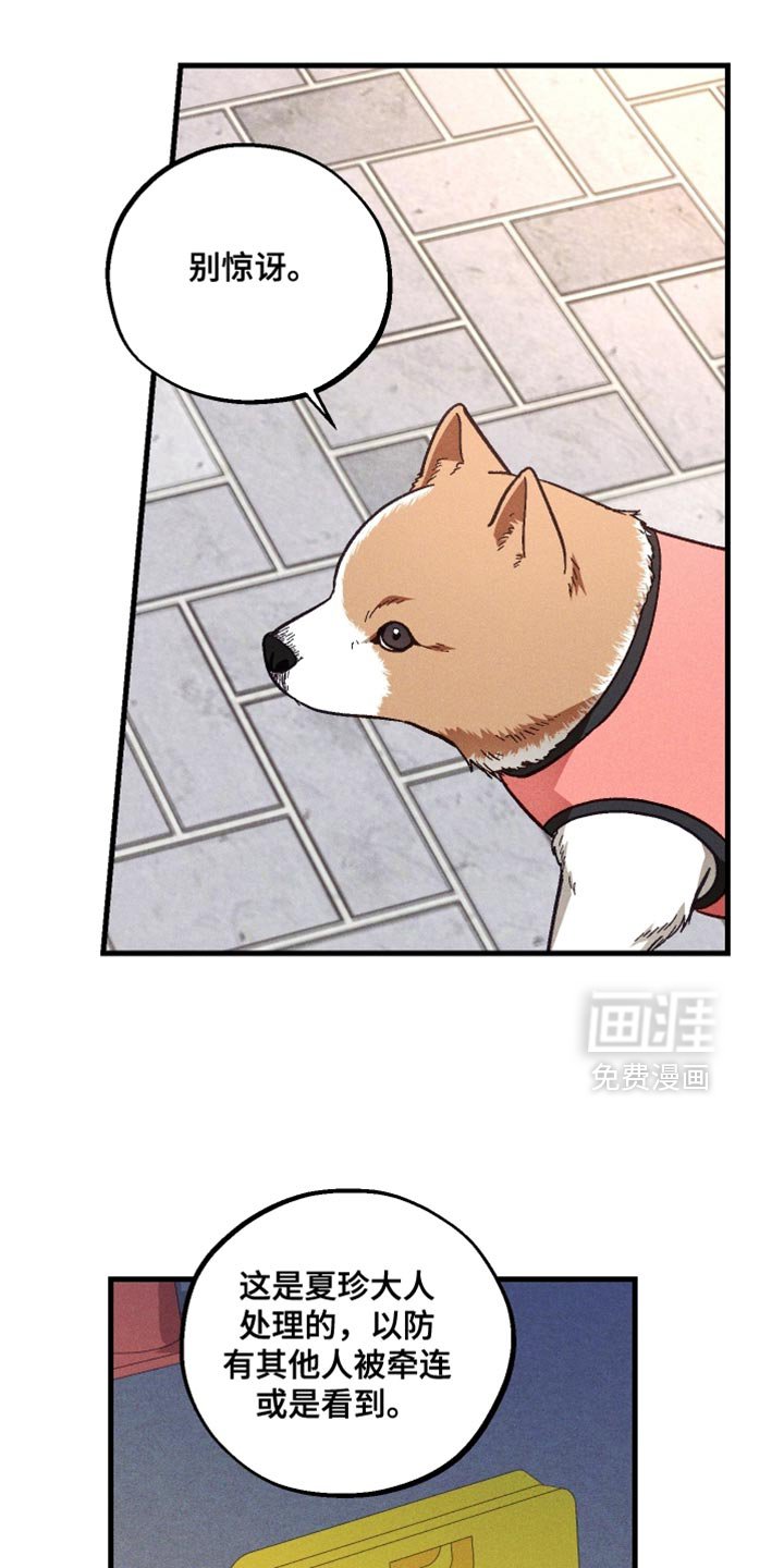 第39章：虚弱