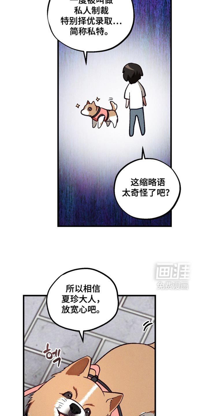 第39章：虚弱