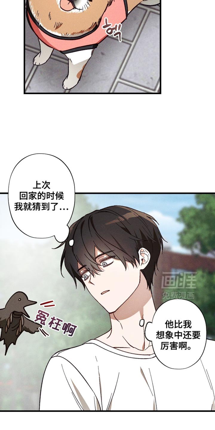 第39章：虚弱