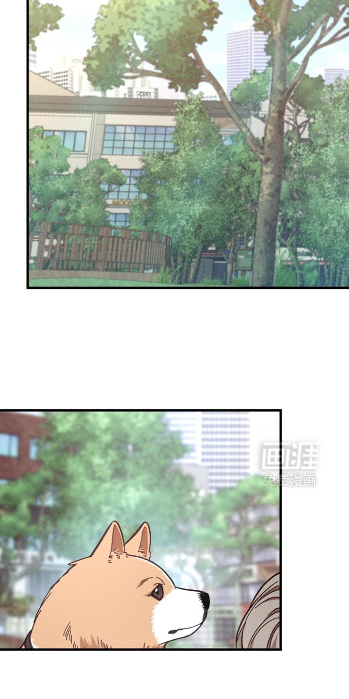第40章：太可靠了