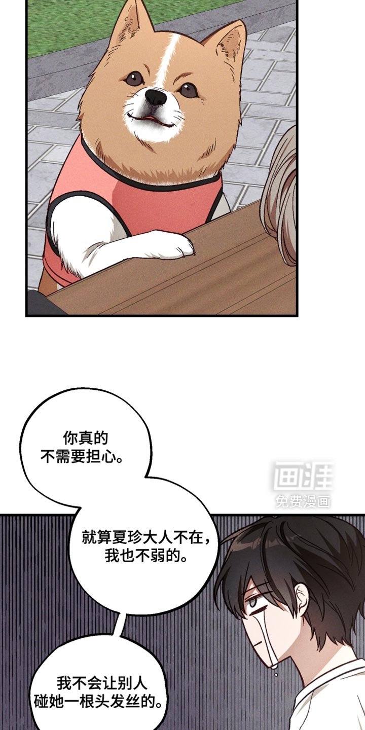 第40章：太可靠了