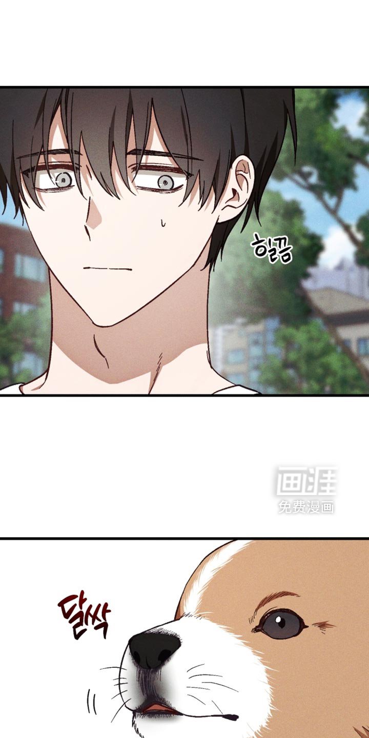 第41章：不能冒然行动